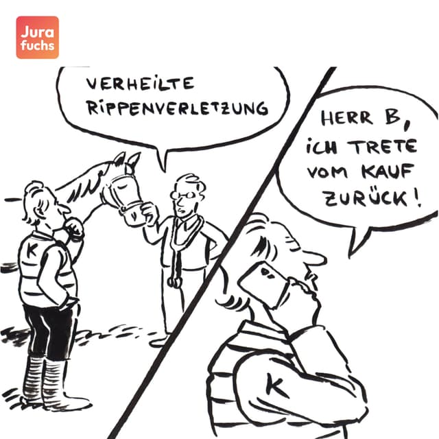 Jurafuchs