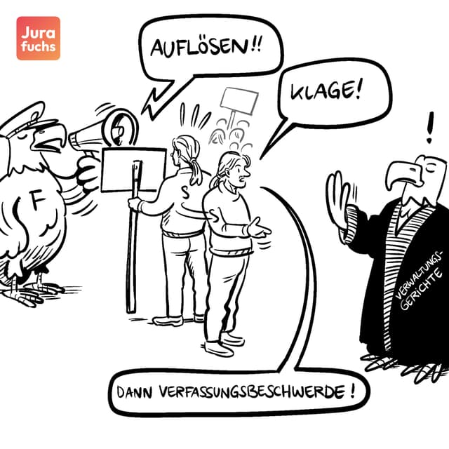 Jurafuchs