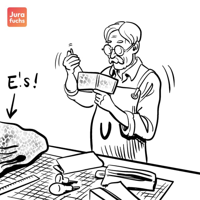 Jurafuchs