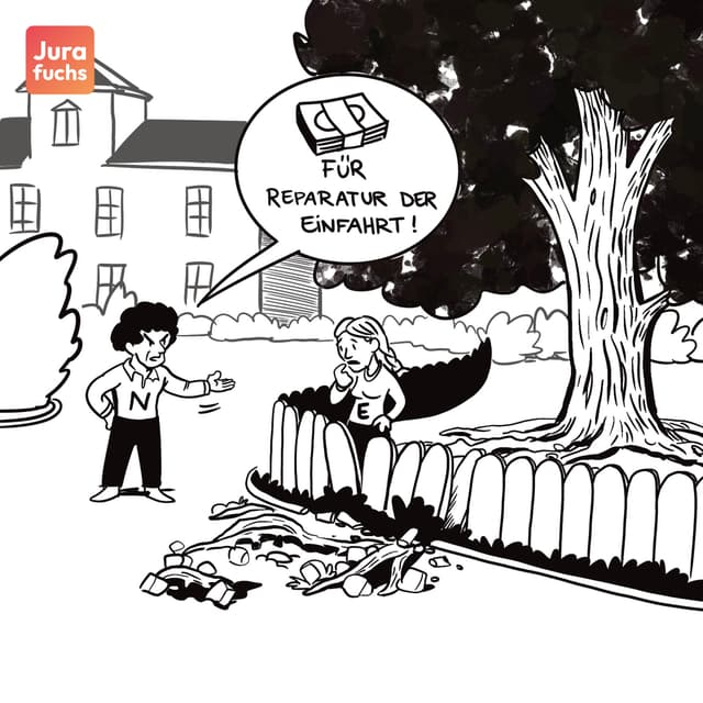 Jurafuchs
