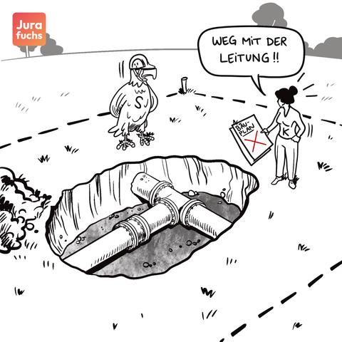 Jurafuchs