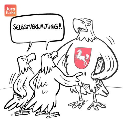 Jurafuchs