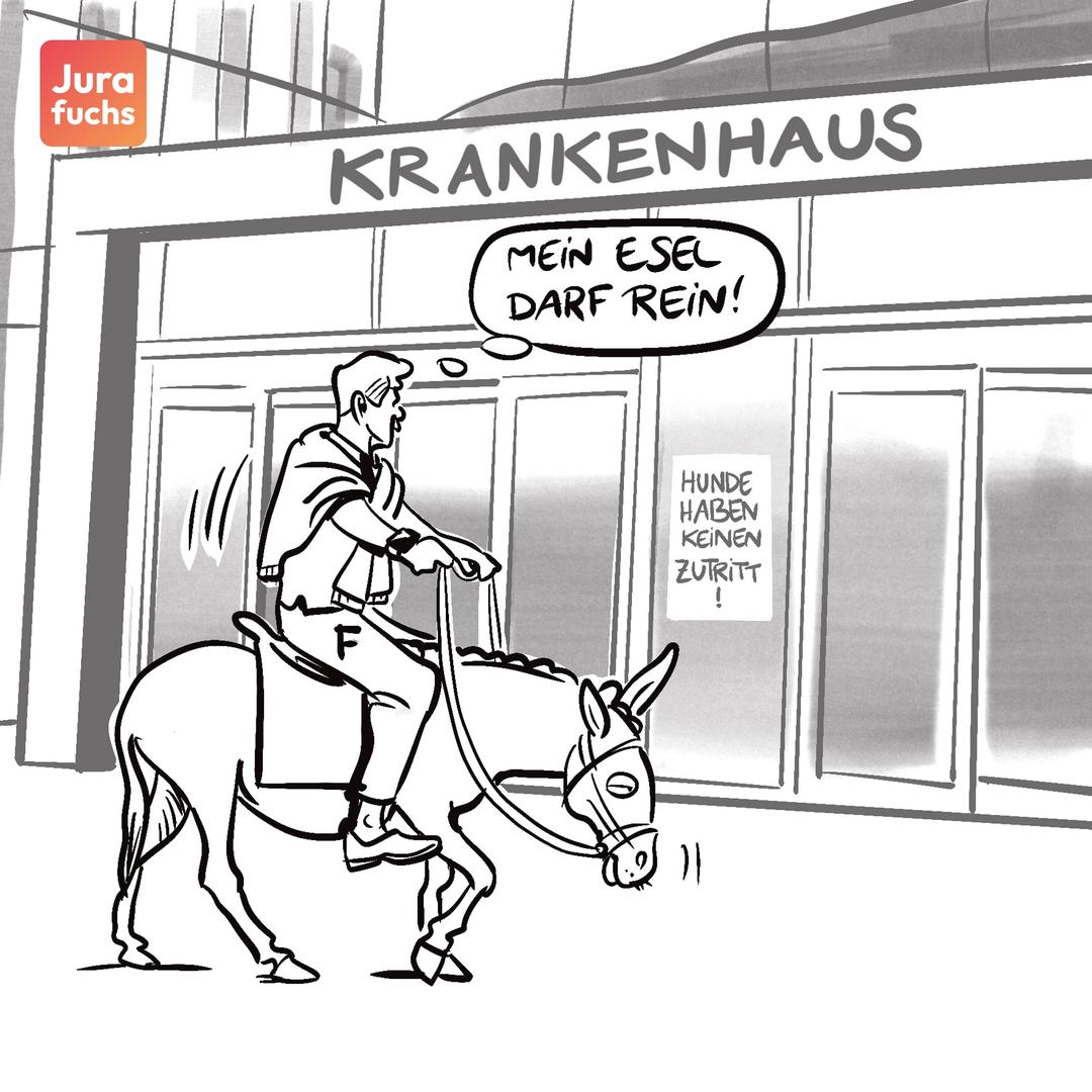 Jurafuchs