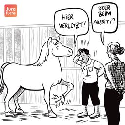 Jurafuchs