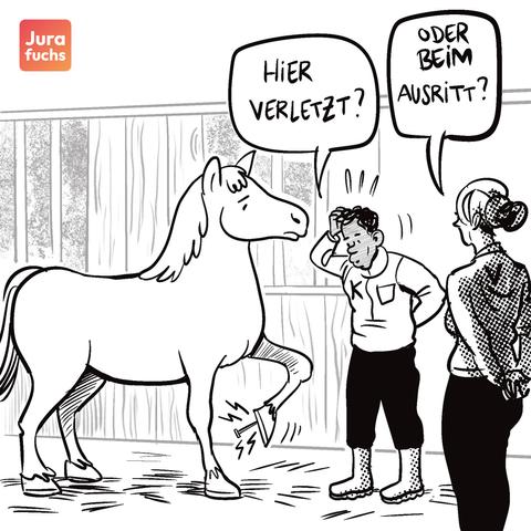 Jurafuchs