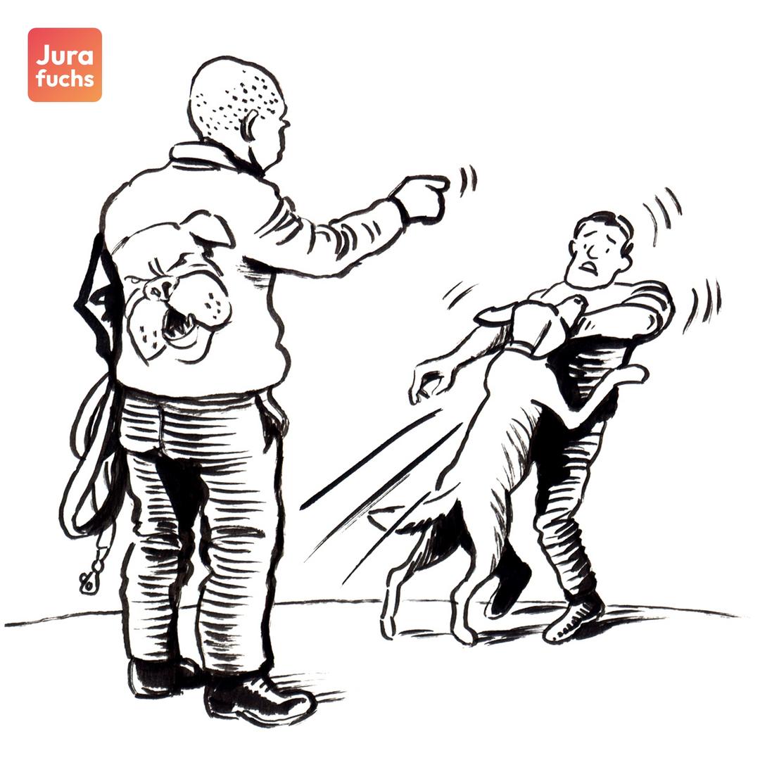 Jurafuchs Illustration zum Gehetzter Hund Fall (BGH 26.2.1960 , 4 StR 582/59 , BGHSt 14, 152): Hundehalter hetzt seinen Hund auf eine Person. Dieser beißt der Person ins die linke Hand.