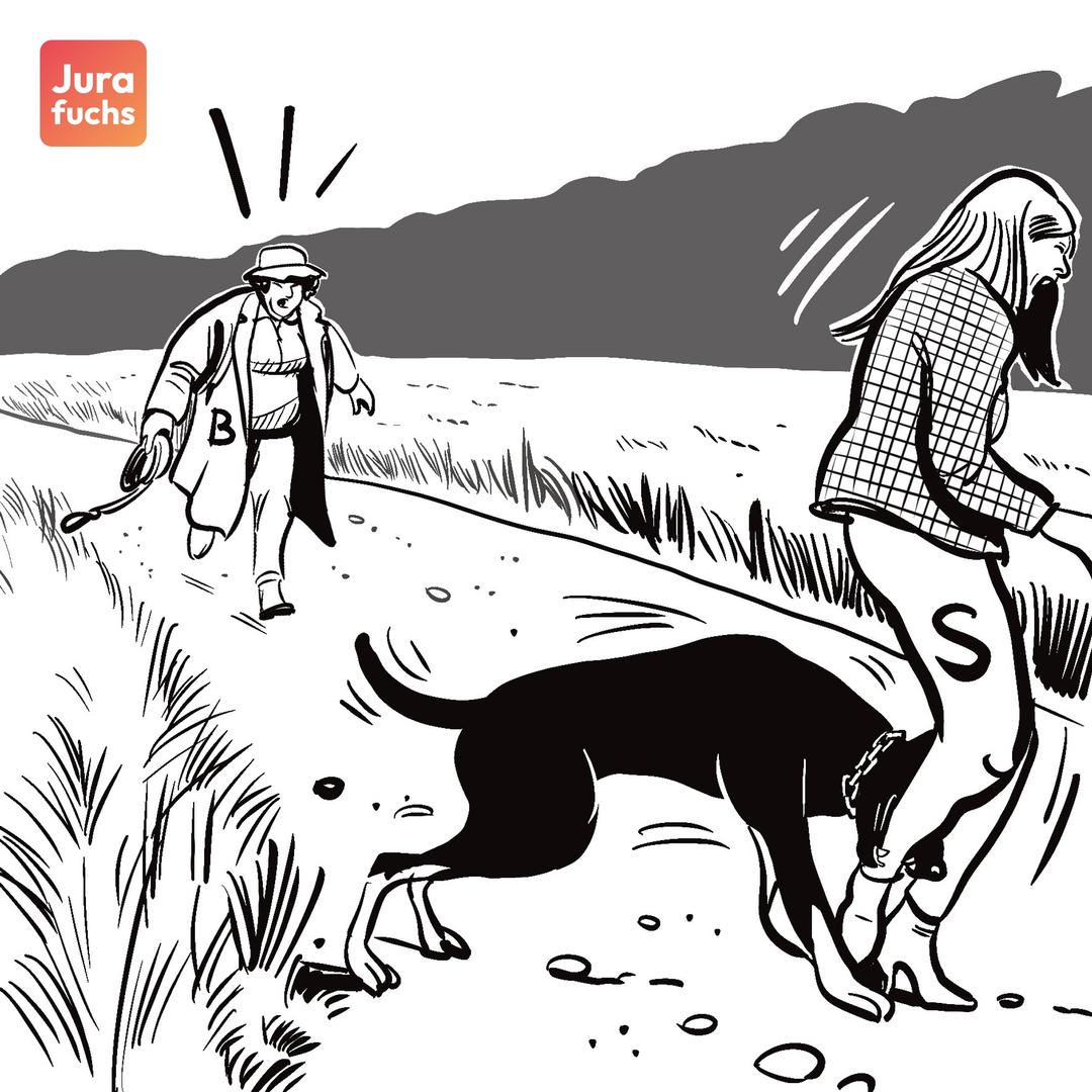 Jurafuchs-Illustration zum Fall zum Wachhund als Nutztier: